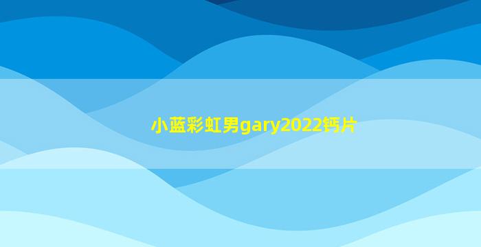 小蓝彩虹男gary2022钙片
